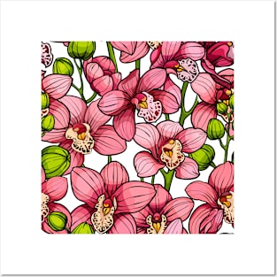 Pink orchids Posters and Art